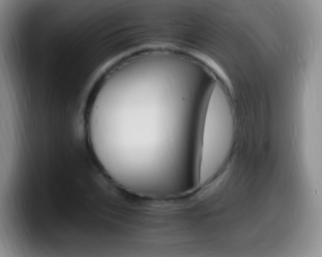 X0000099990927200805231041