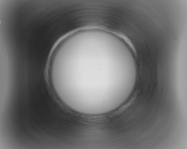 X0000099990928200805231041