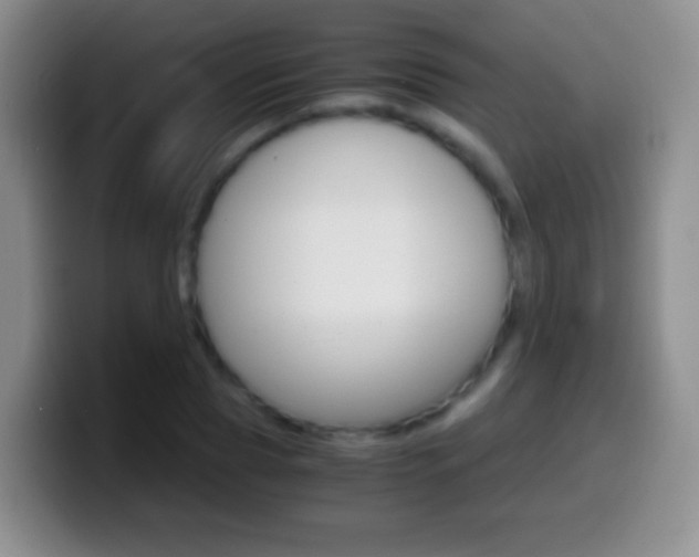 X0000099990929200805231041