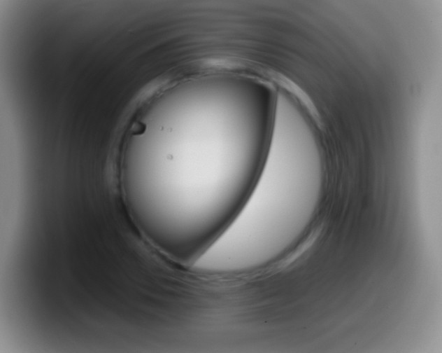 X0000099990930200805231041