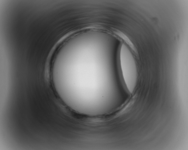 X0000099990931200805231041