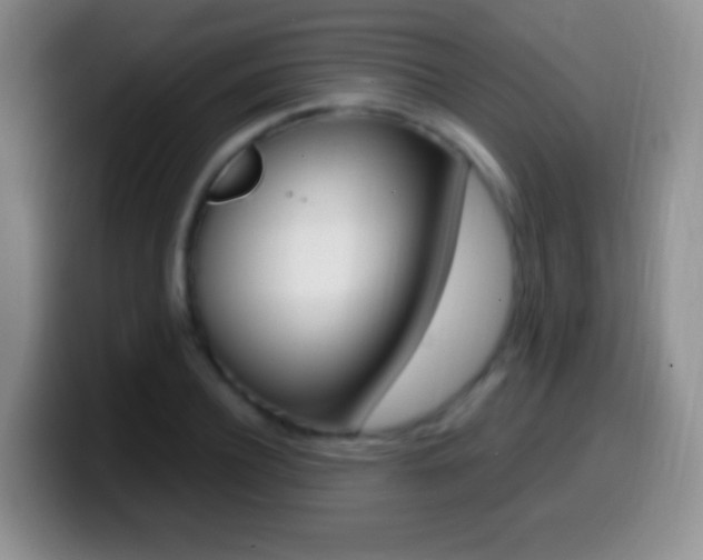 X0000099990932200805231041
