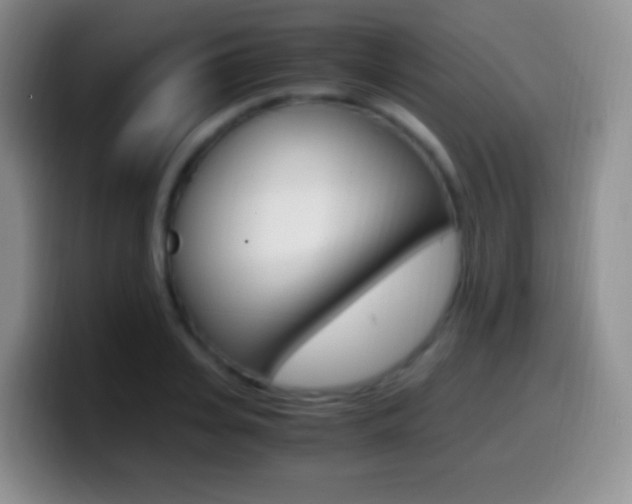 X0000099990935200805231041