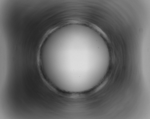 X0000099990938200805231041