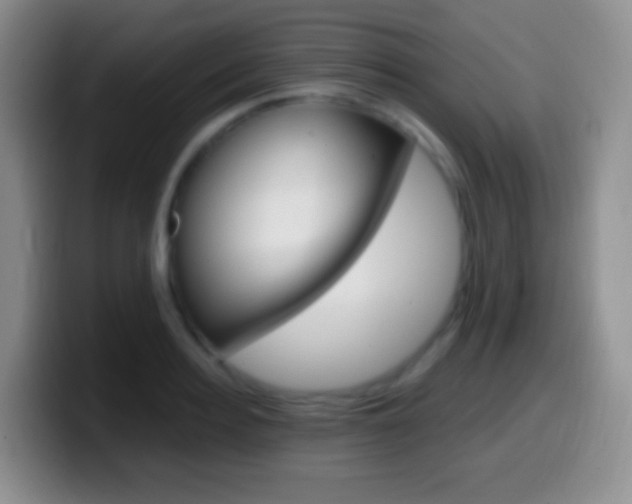 X0000099990940200805231041