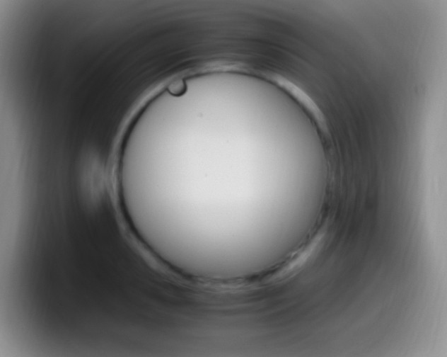 X0000099990941200805231041