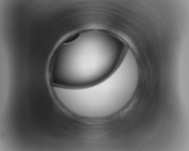X0000099990942200805231041