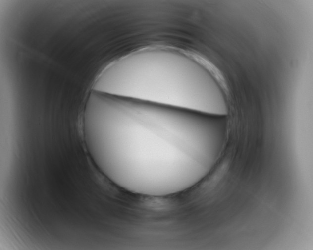 X0000099990945200805231041