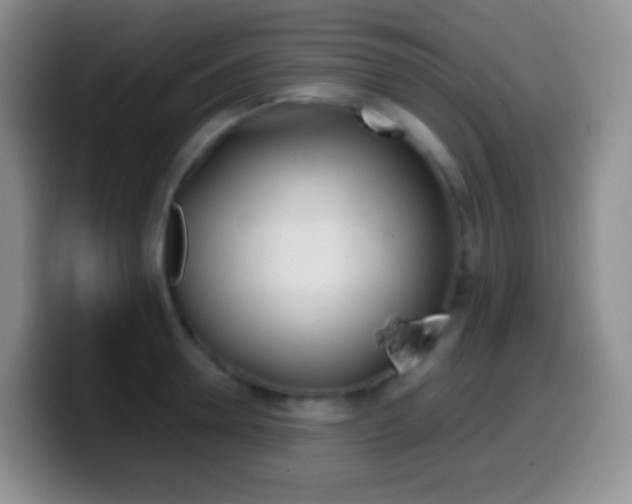 X0000099990946200805231041