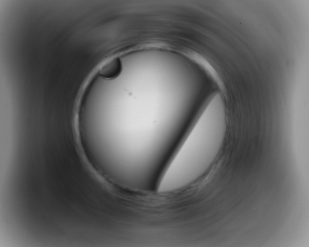 X0000099990947200805231041