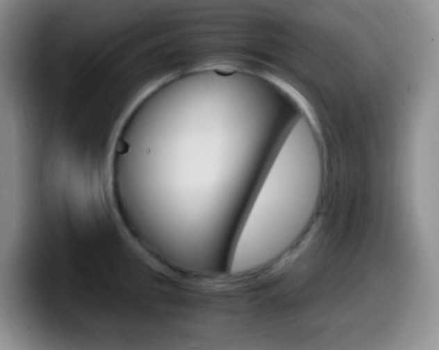X0000099990949200805231041