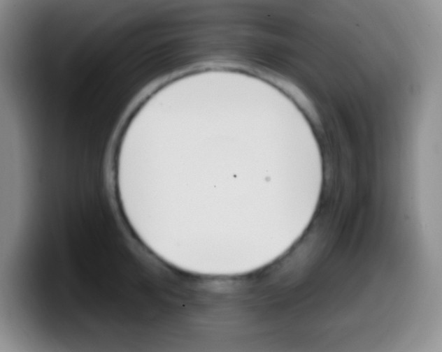 X0000099990950200805231041