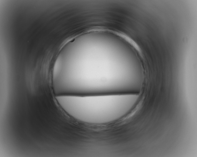 X0000099990953200805231041