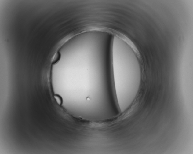 X0000099990954200805231041