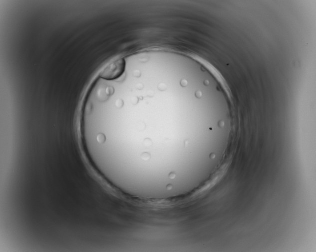 X0000099990957200805231041