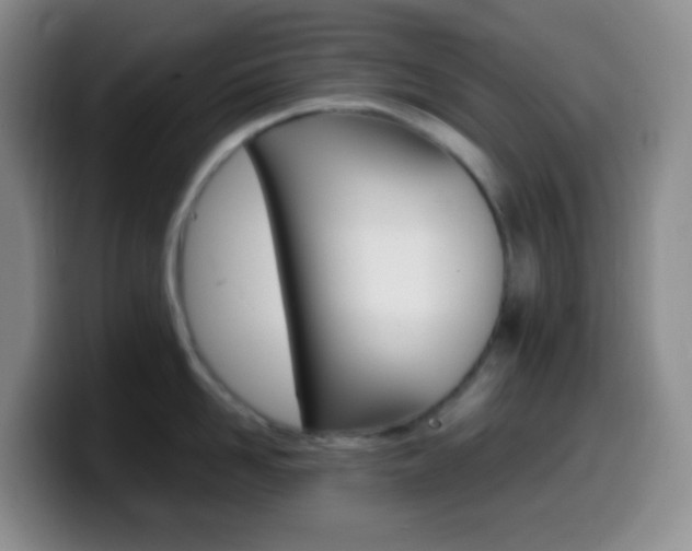 X0000099990958200805231041