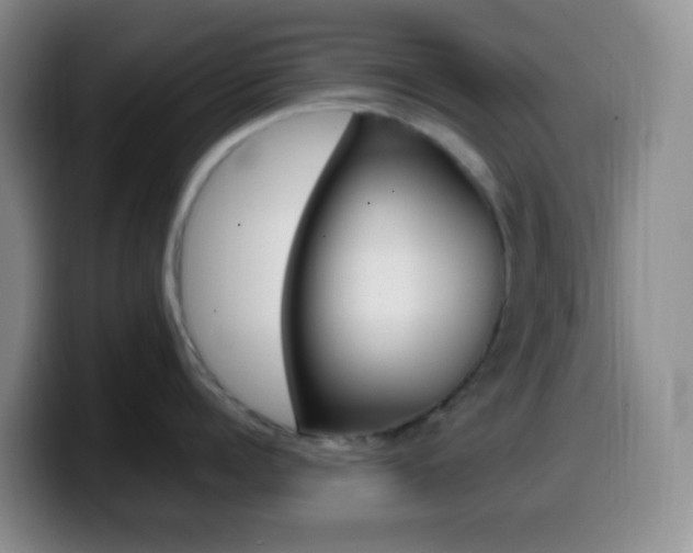 X0000099990960200805231041