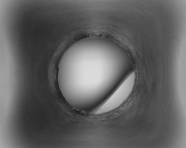 X0000099990961200805231040