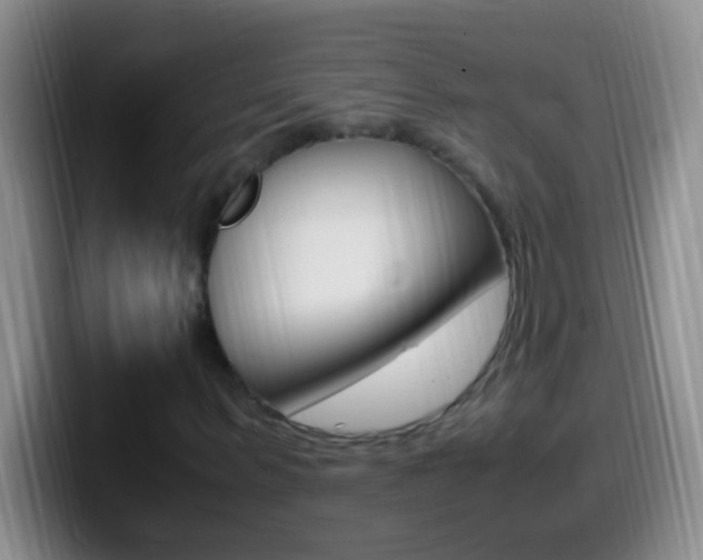 X0000099990963200805231040