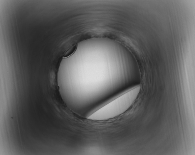 X0000099990964200805231040
