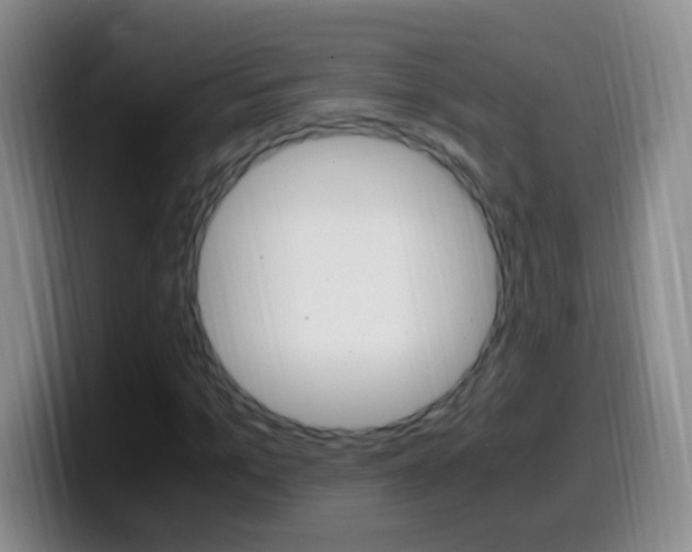 X0000099990965200805231040