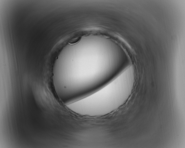X0000099990967200805231040