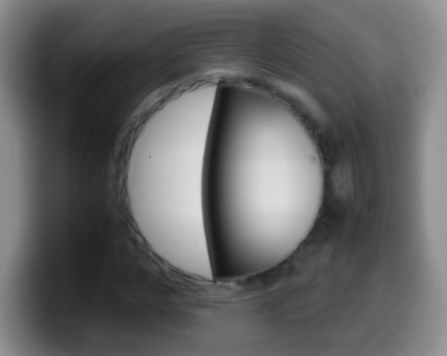 X0000099990968200805231040