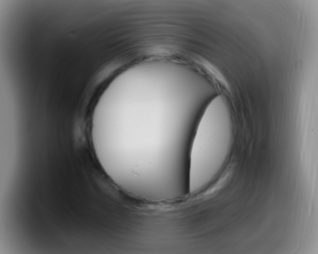 X0000099990970200805231040