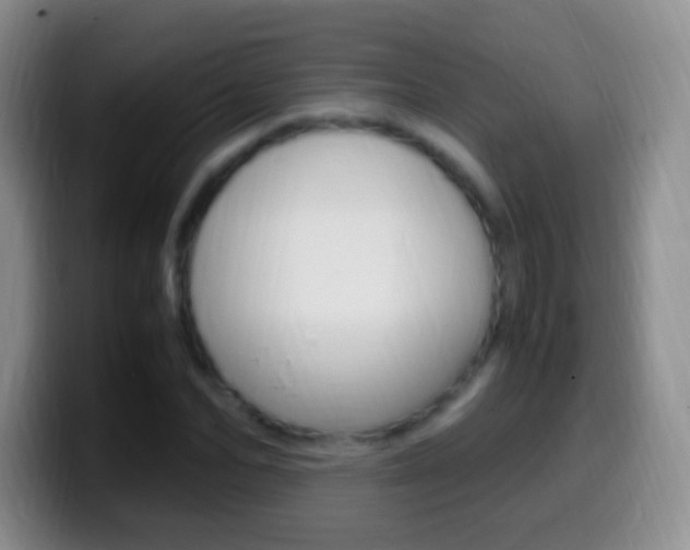 X0000099990974200805231040