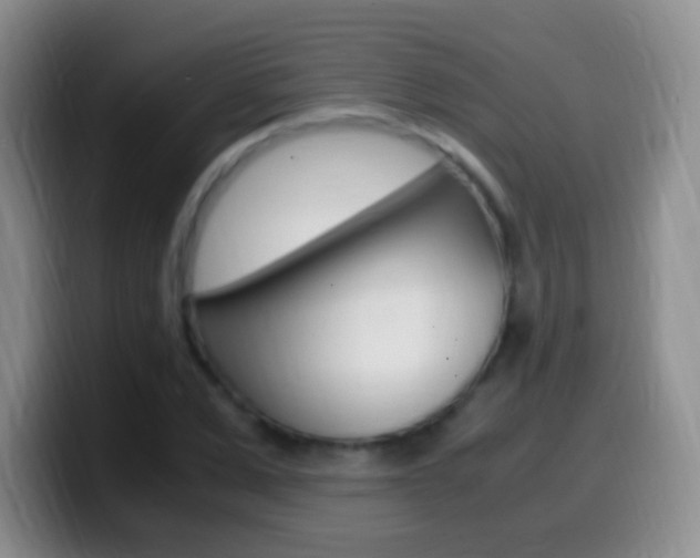 X0000099990975200805231040
