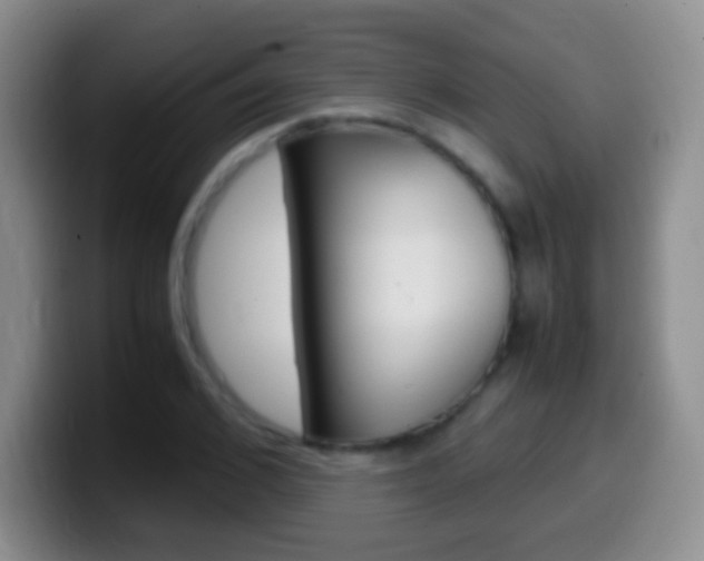 X0000099990976200805231040