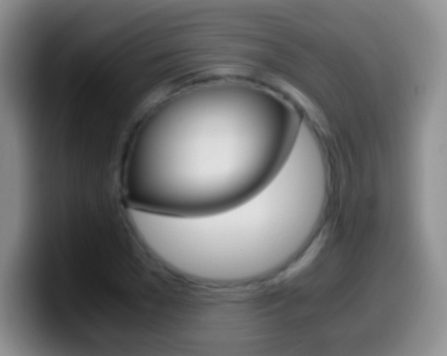 X0000099990977200805231040