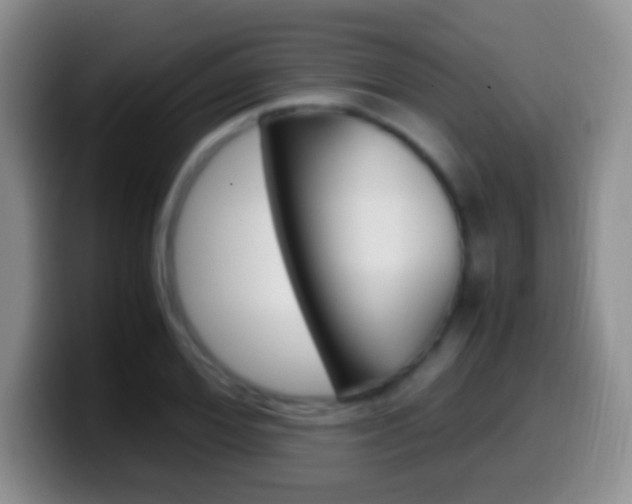 X0000099990980200805231040