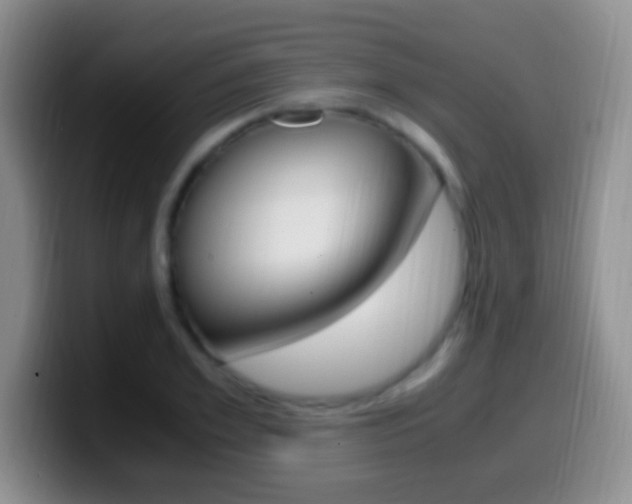 X0000099990981200805231040