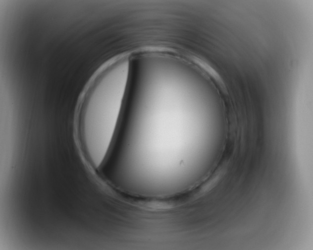 X0000099990984200805231040