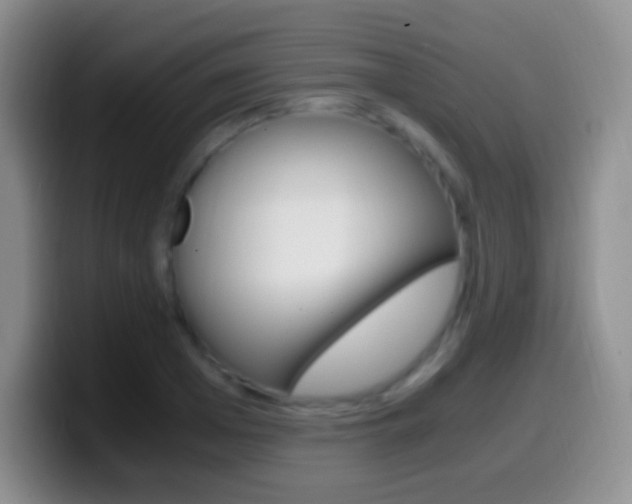 X0000099990985200805231040