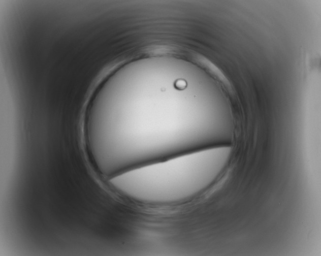X0000099990986200805231040