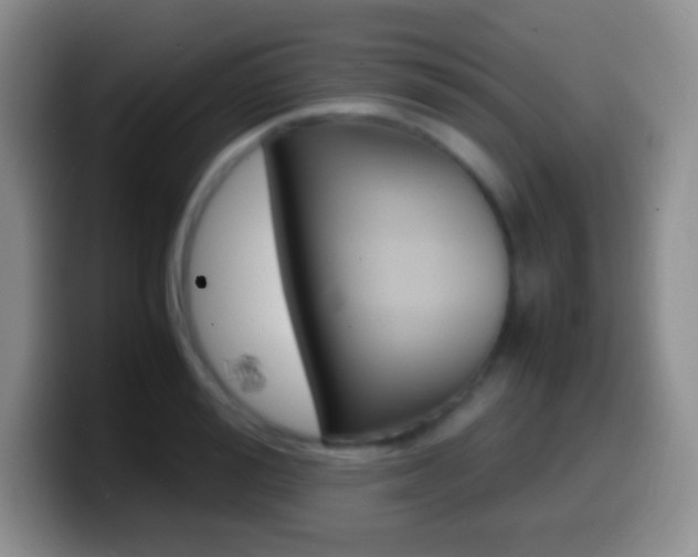 X0000099990988200805231040