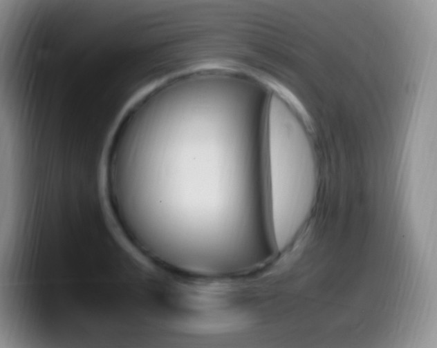 X0000099990991200805231040