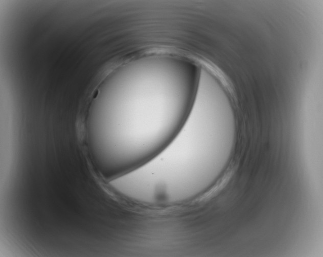 X0000099990993200805231040