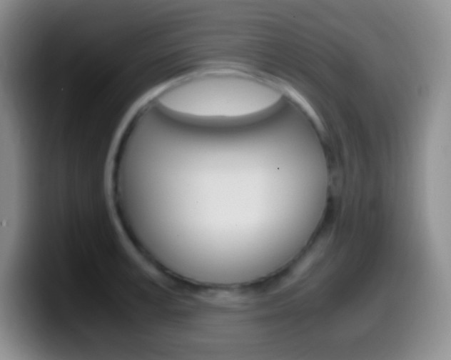 X0000099990995200805231040