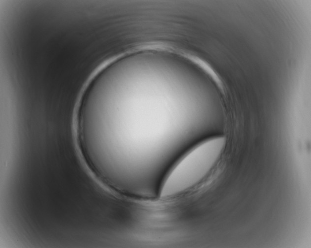 X0000099990999200805231040