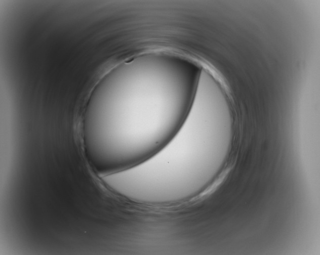 X0000099991001200805231040