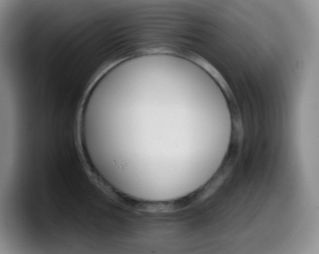 X0000099991002200805231040
