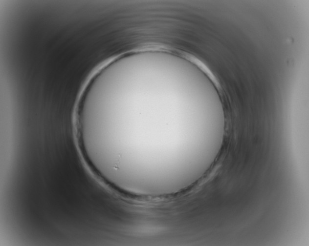 X0000099991003200805231040