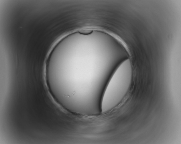 X0000099991006200805231040