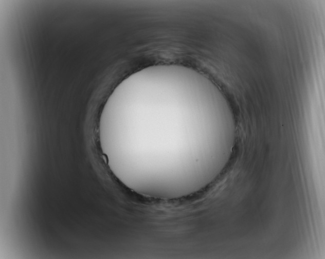 X0000099991009200805231039