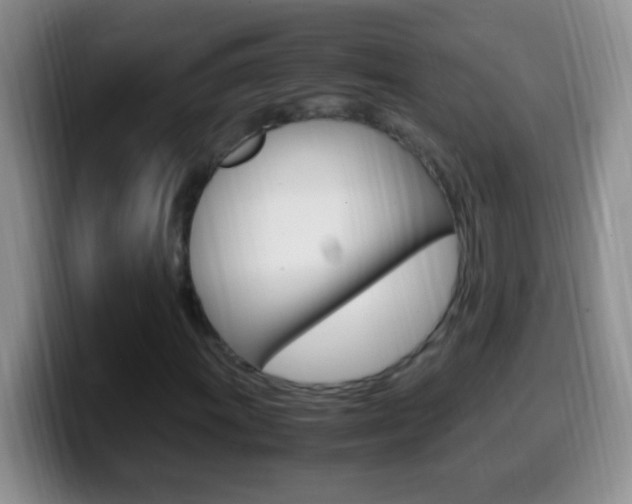 X0000099991011200805231039