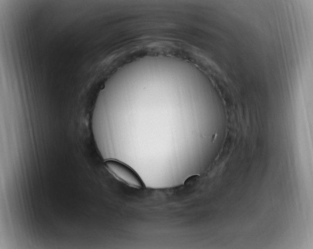 X0000099991013200805231039