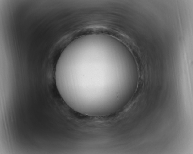 X0000099991014200805231039